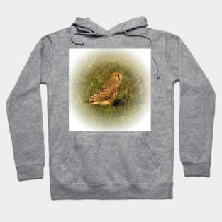 Kestrel Hoodie